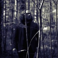 sigurdur-rognvaldssons-dark-forest